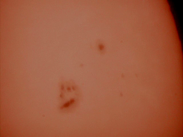 cats paw.22 11 15.1055.