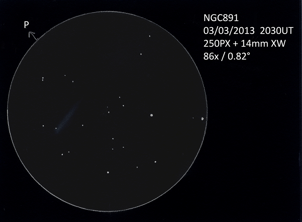 NGC891 20130303 2030UT mcrae SK