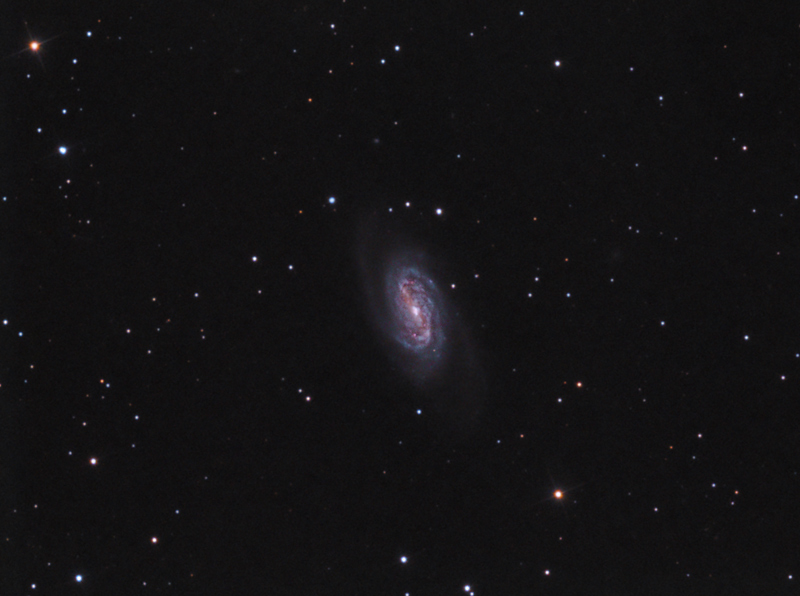 NGC2903 LRGB 20130304 mcrae SGL