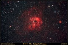 IC410 The Tadpole Nebula (F