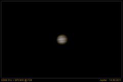 Jupiter - 14.09.2011
Skywatcher ED80 Pro + SPC900 Webcam