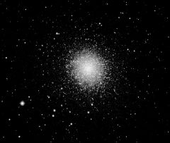 M13 globular cluster. July 19, 2008.

This was a test shot after an evening of practicing drift alignment. Clouds were rolling in and there was a full moon, so conditions were poor. PEC not trained and no guiding, so exposures were short. This is 10 30-