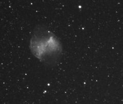 M27, the Dumbbell Nebula. July 5, 2008.

I actually spent the evening capturing data to analyse and tune periodic error in the mount but then did a "what the heck" capture of M27, just to see. This is a single 30-second exposure, unguided, no 