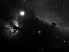 This image of IC434, Barnard 33 (the Horse Head Nebula), and NGC2024 (the Flame Nebula) is the start of a larger project. This monochrome image was taken in Hydrogen Alpha light during a nearly full moon (H-Alpha is essentially immune to moon light pollut