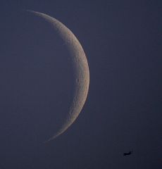 fly me to the moon