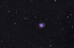 M101 wide field view