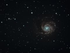 M101 200p