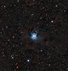 Iris Nebula NGC7023APM TMB105, QHY8 CCDExposure 7 Hrs 25Mins
