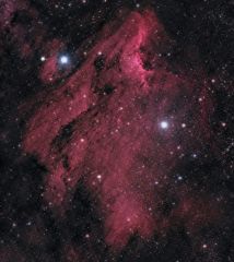 Pelican Nebula IC5067 and IC5070APM TMB105, QHY8 CCDExposure 19 x 10mins