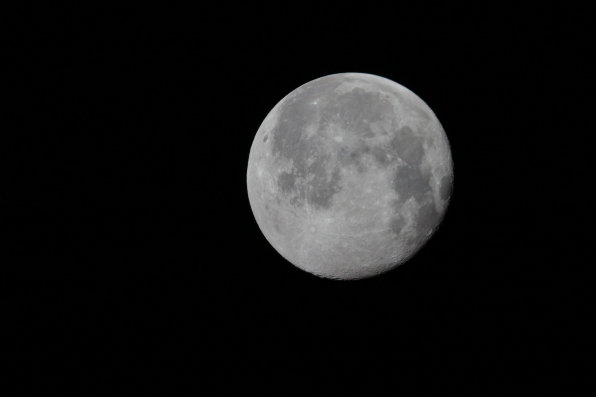 the moon with a 100mm ed refractor conected a canon 500..