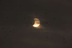 eclipse 2011 01 04AA