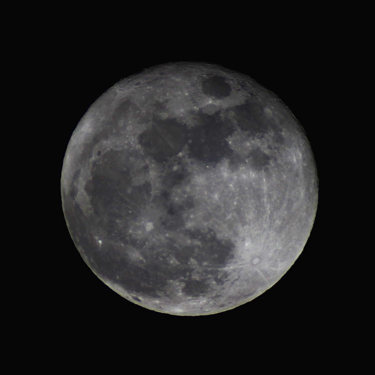 The Moon 24.012016.jpg