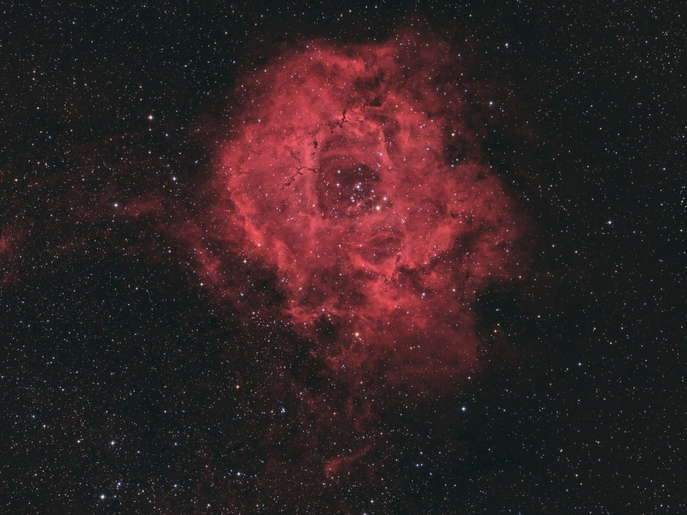 56bf4418eca9e_NGC2244Caldwell49RosetteNe
