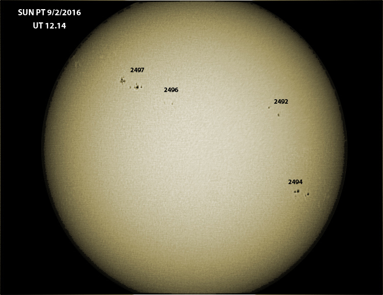 SUN-9-2-12-03-002-5.jpg