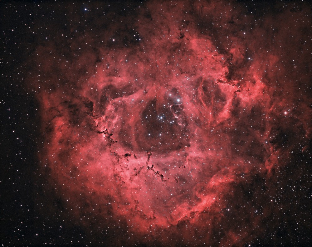 Rosette Nebula .JPG