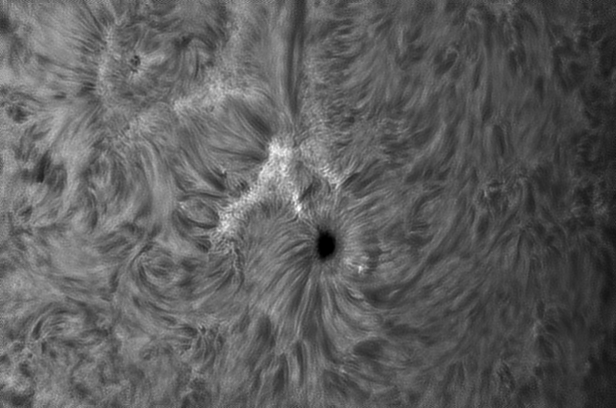 AR2524 25-03-2016.png
