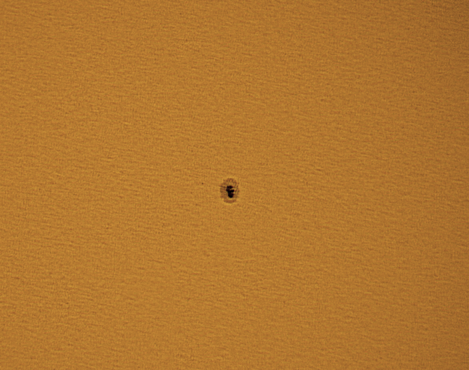 sol 31-3-16 cu1.png