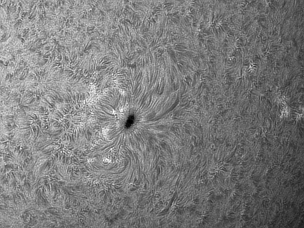 AR2526-02-04-16.png
