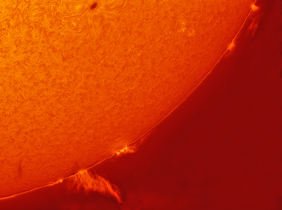 AR2526-and-proms-02-04-18.png