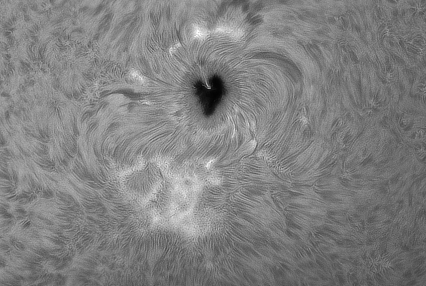 AR2529-13-04-16.png