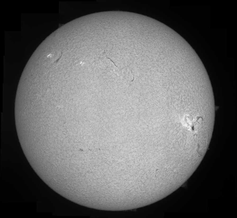 sun17042016mosaic.jpg