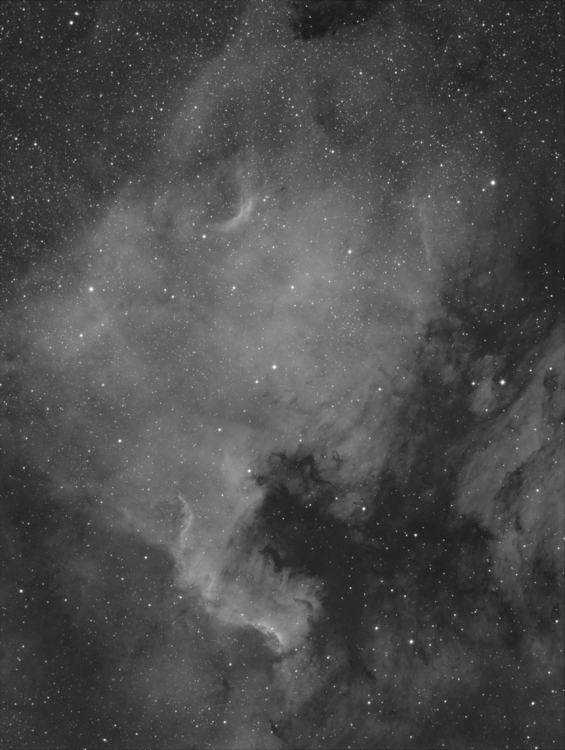 ngc7000 76mm from tilt adapter.png