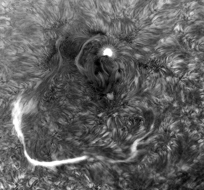 AR2548 Inverted mosaic 4 pane.png