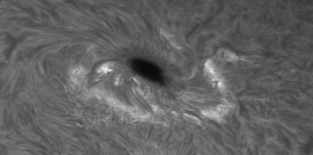 AR2546-24-05-16.png