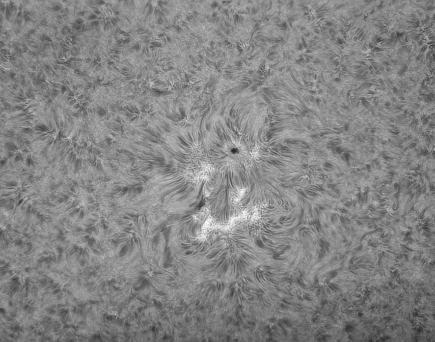 AR2569-19-07-16.png