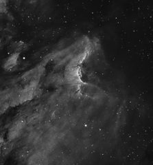 IC5070 (Pelican Nebula)