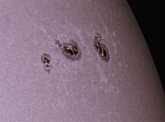 Sun Spot group near Limb
