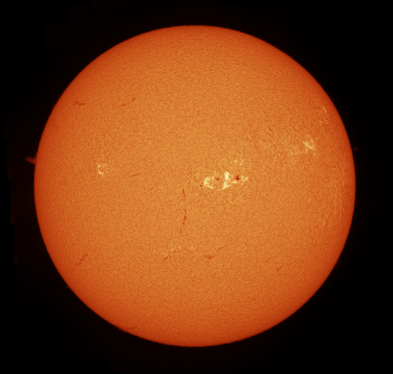 sun18072016mosaiccolour.jpg