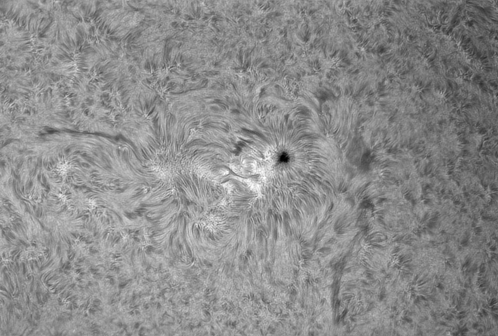 AR2581-30-08-16.png