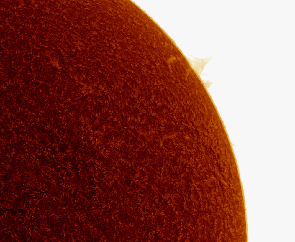 Sun-4-8-16-filiprom-c.jpg
