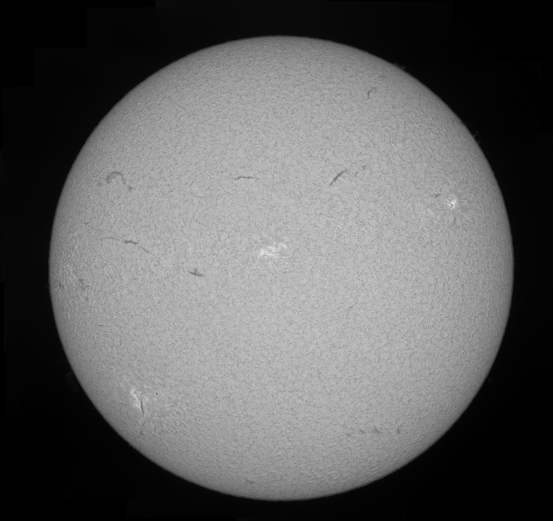 sun24082016mosaic.jpg