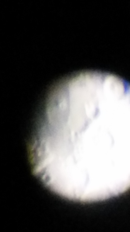 lunar shot from meade infinity 80.jpg