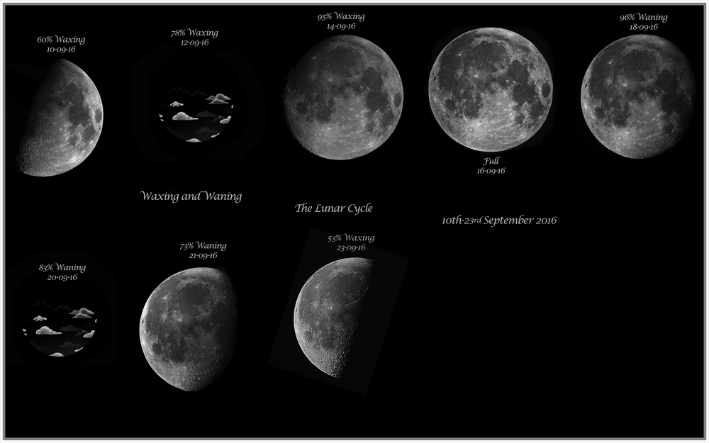 Lunar Cycle WIP 23-09.png