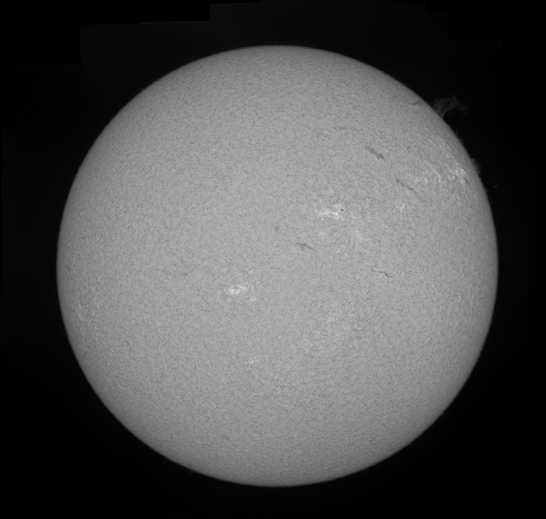 sun11092016mosaic.jpg