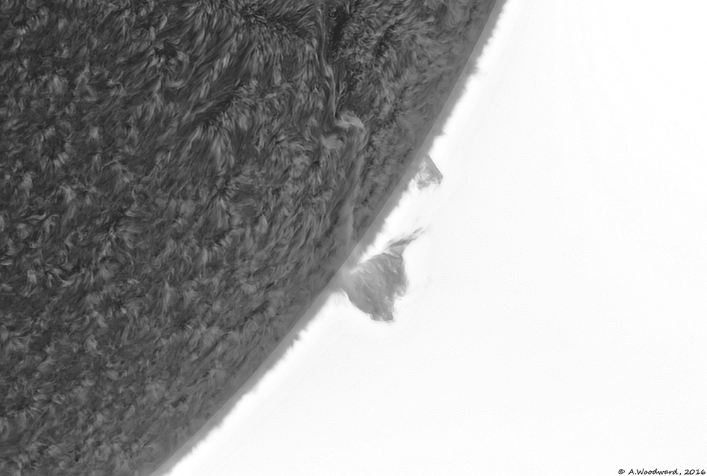 Mono-Prominence.jpg