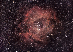 NGC2239 Rosette Nebula v1.1