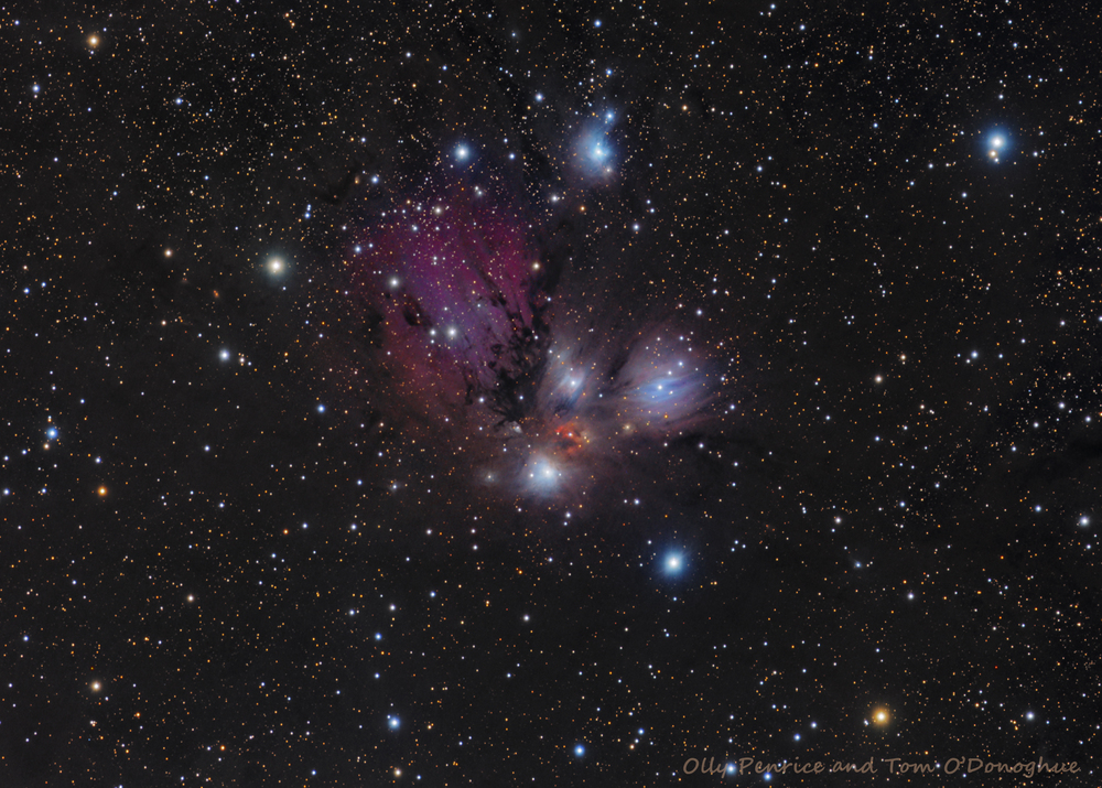 NGC 2170 36 HRS 2FL WEB2.jpg