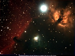 Flame/Horsehead Nebulae
