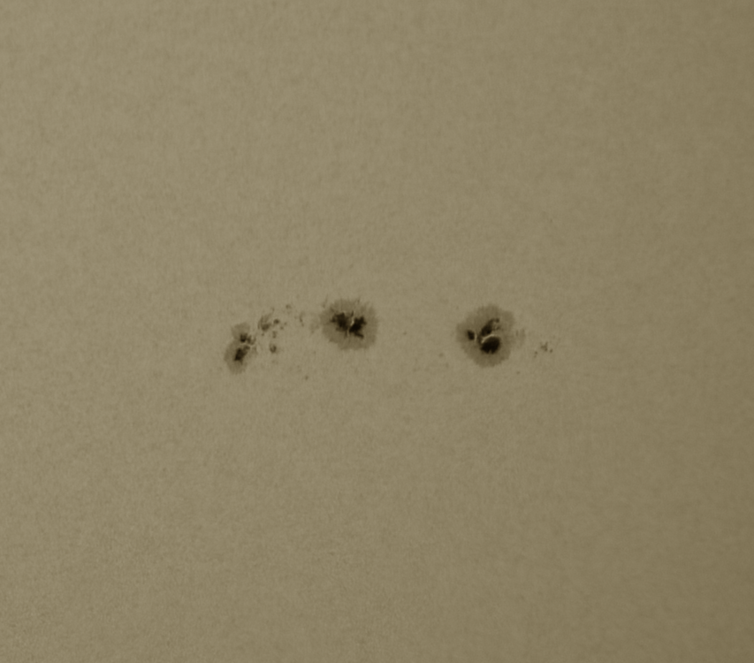 7 sol 19-7-16 09.00 close up.png
