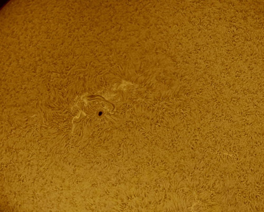 sol 1st HA 24-2-17 09.30 col.png