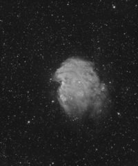 MonkeyHead NGC-2174 Ha
