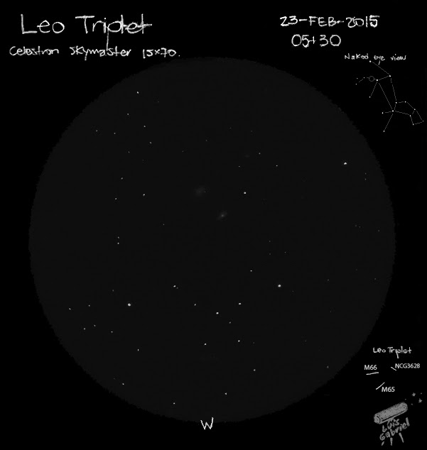 Leo Triplet-1.jpg