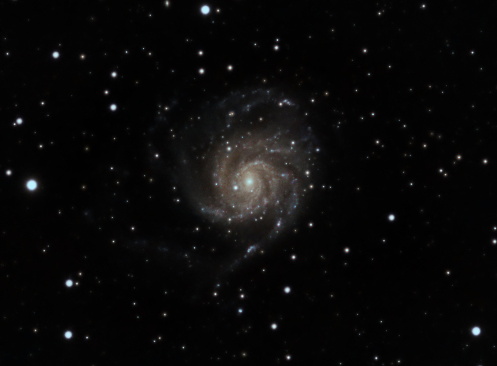 M101_sgl-2.jpg