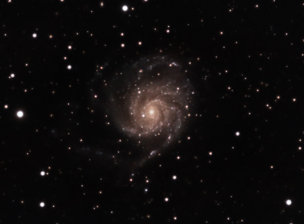 M101_sgl.jpg
