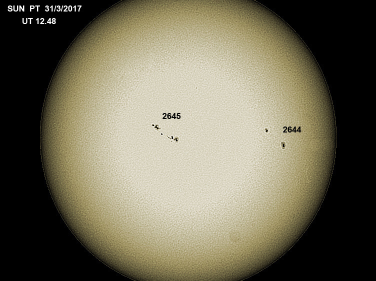SUN-31-3-12-41-001-S-4.jpg.73d7bb10e2fe15a2c03c63a8b999aeb8.jpg
