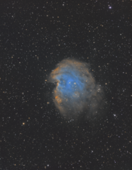 MonkeyHead NGC-2174 SHO(HST)